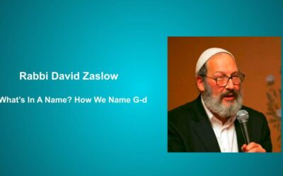 Rabbi David Zaslow
